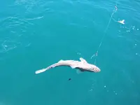 Fishing day  Hai 2014 (23)@.webp