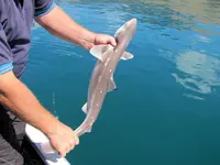 Fishing day  Hai 2014 (25)@.webp