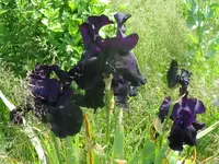 005_1024x768.webp