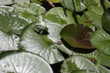 IMG_8103.webp