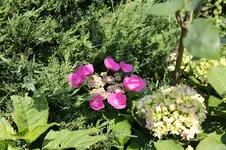 IMG_8108.webp