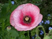 06.08 (5).webp