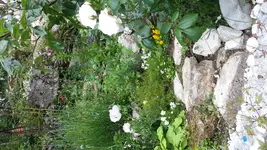 20140605_190146.webp
