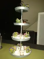 005.webp