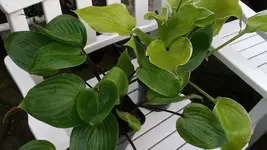 DSCF6083.webp