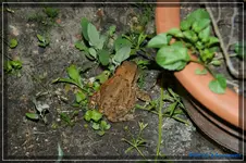 comp_DSC01572.webp