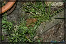 comp_DSC01573.webp