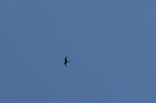 DSC01575.webp