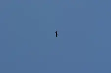 DSC01576.webp