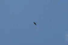 DSC01577.webp