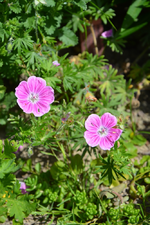 DSC_1776.webp
