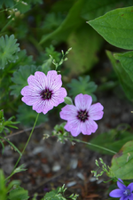 DSC_1779.webp