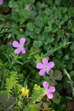 DSC_1780.webp