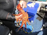 Fishing day 2014 (41)&.webp