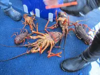 Fishing day 2014 (42)&.webp