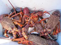 Fishing day 2014 (45)&.webp