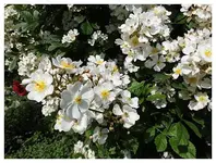 020.webp