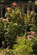 Quersicht 140609.webp