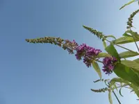 P1110003.webp