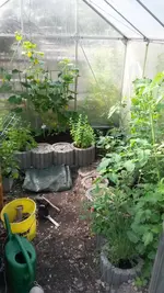 2014-06-09 09.52.33.webp