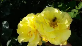 2014-06-09 10.23.41.webp