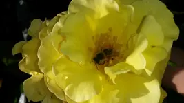 2014-06-09 10.23.55.webp