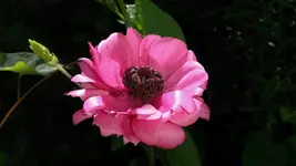2014-06-09 10.24.13.webp