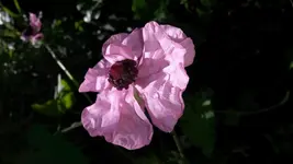 2014-06-09 10.25.47.webp