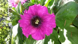 2014-06-09 10.26.17.webp