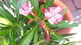 2014-06-09 10.27.16.webp
