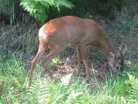 003_1024x768.webp