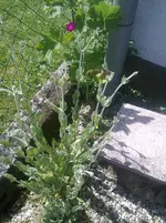 080620141495.webp