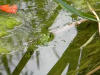 DSCN8357.webp