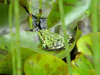 DSCN8359.webp
