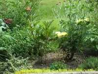 SAM_4400.webp