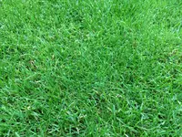 IMG_5267.webp IMG_5267.webp