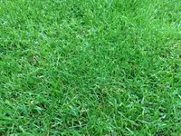 IMG_5268.webp IMG_5268.webp