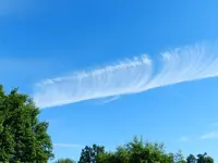 DSCN7630.webp