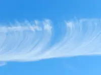 DSCN7633.webp