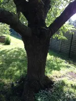 Foto 14.webp