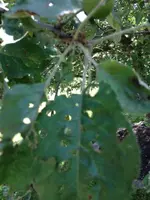 Foto 17.webp