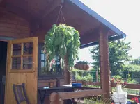 fuchsiegroß.webp