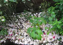 IMG_2992.webp