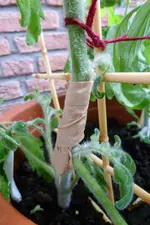 Endverband mit Schienen.webp