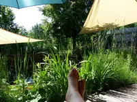 relaxen.webp