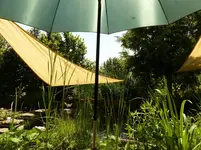 Schatten auch für mich.webp