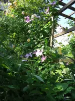 069_1_1.webp