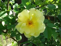 067_1_1.webp