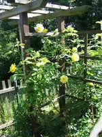 068_1_1.webp