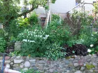 063_1_1.webp